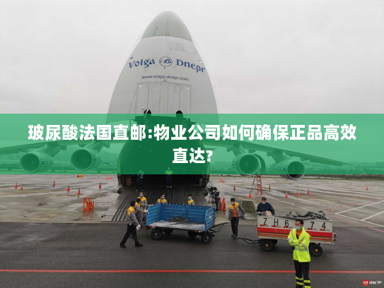 玻尿酸法国直邮:物业公司如何确保正品高效直达? 玻尿酸法国直邮:物业公司如何确保正品高效直达?
