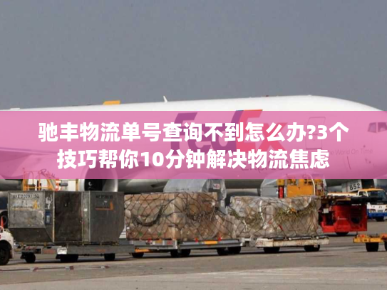 驰丰物流单号查询不到怎么办?3个技巧帮你10分钟解决物流焦虑