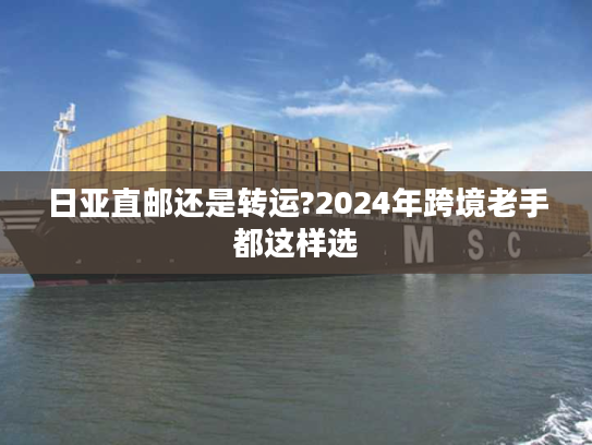 日亚直邮还是转运?2024年跨境老手都这样选