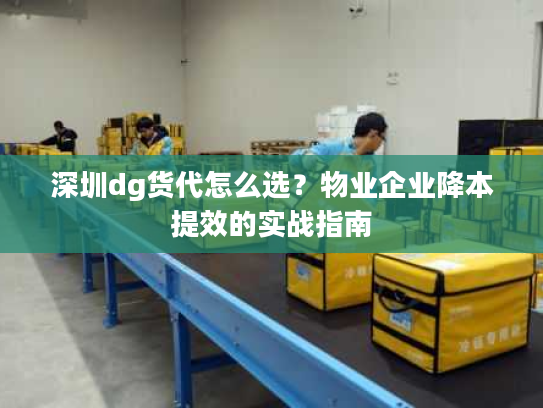 深圳dg货代怎么选？物业企业降本提效的实战指南