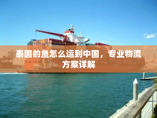 泰国的鱼怎么运到中国，专业物流方案详解