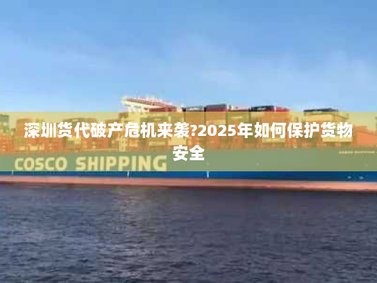 深圳货代破产危机来袭?2025年如何保护货物安全