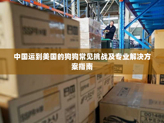 中国运到美国的狗狗常见挑战及专业解决方案指南