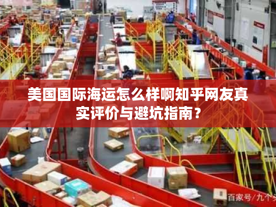 美国国际海运怎么样啊知乎网友真实评价与避坑指南？