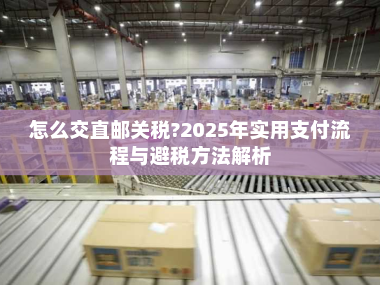 怎么交直邮关税?2025年实用支付流程与避税方法解析