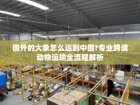 国外的大象怎么运到中国?专业跨境动物运输全流程解析