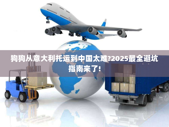 狗狗从意大利托运到中国太难?2025最全避坑指南来了!