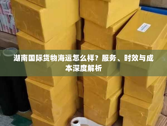 湖南国际货物海运怎么样？服务、时效与成本深度解析