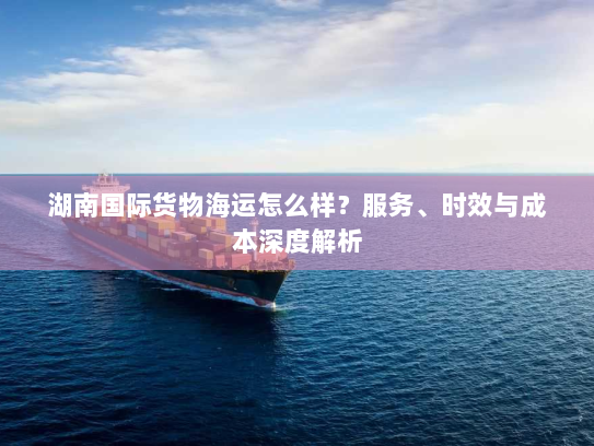 湖南国际货物海运怎么样？服务、时效与成本深度解析