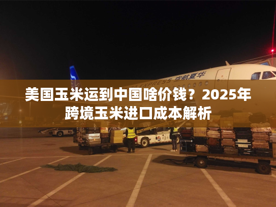 美国玉米运到中国啥价钱？2025年跨境玉米进口成本解析