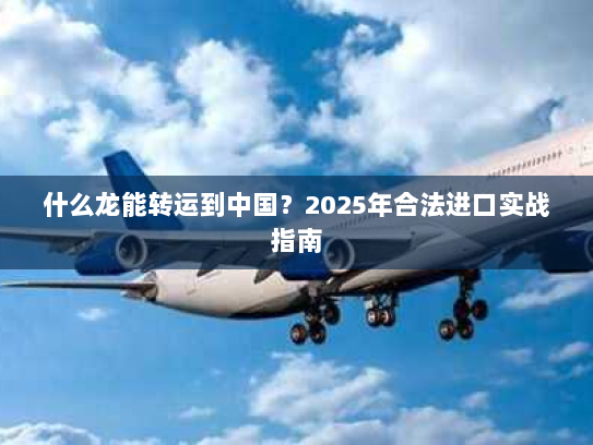 什么龙能转运到中国？2025年合法进口实战指南