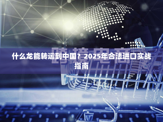 什么龙能转运到中国？2025年合法进口实战指南