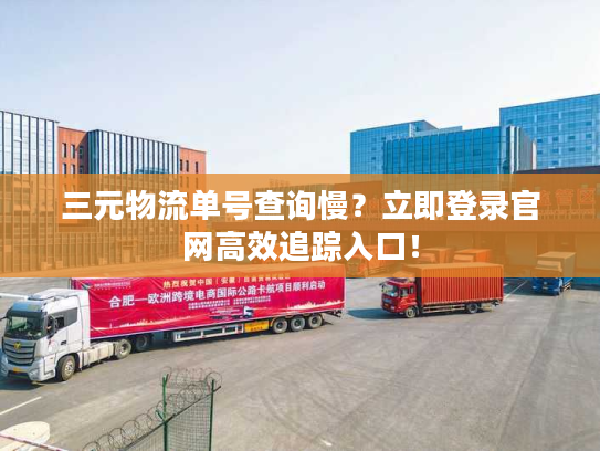 三元物流单号查询慢？立即登录官网高效追踪入口！