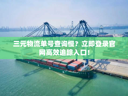 三元物流单号查询慢？立即登录官网高效追踪入口！