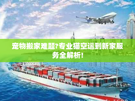 宠物搬家难题?专业猫空运到新家服务全解析!