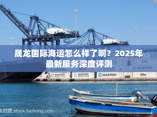 晟龙国际海运怎么样了啊？2025年最新服务深度评测