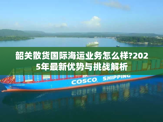 韶关散货国际海运业务怎么样?2025年最新优势与挑战解析