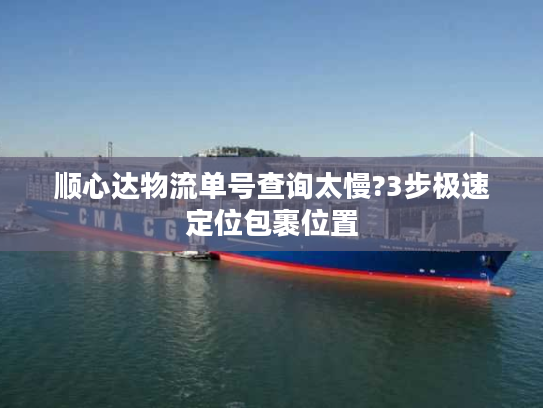 顺心达物流单号查询太慢?3步极速定位包裹位置