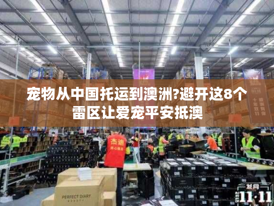宠物从中国托运到澳洲?避开这8个雷区让爱宠平安抵澳