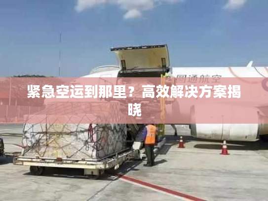 紧急空运到那里？高效解决方案揭晓