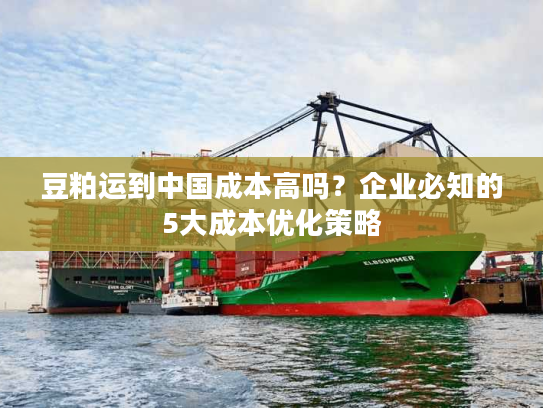 豆粕运到中国成本高吗？企业必知的5大成本优化策略