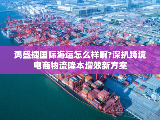 鸿盛捷国际海运怎么样啊?深扒跨境电商物流降本增效新方案