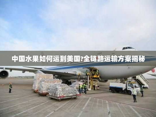 中国水果如何运到美国?全链路运输方案揭秘