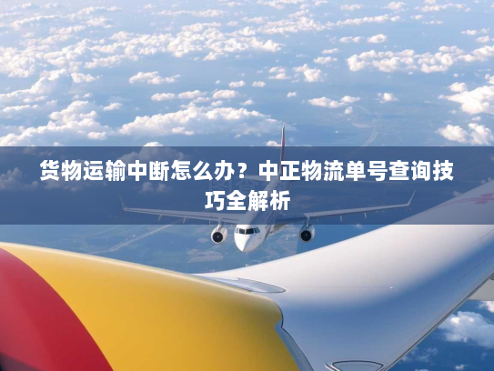 货物运输中断怎么办？中正物流单号查询技巧全解析