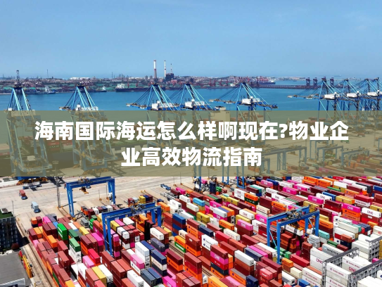 海南国际海运怎么样啊现在?物业企业高效物流指南