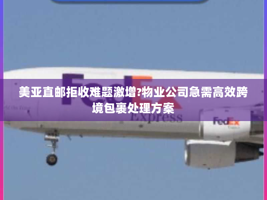 美亚直邮拒收难题激增?物业公司急需高效跨境包裹处理方案