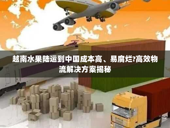 越南水果陆运到中国成本高、易腐烂?高效物流解决方案揭秘