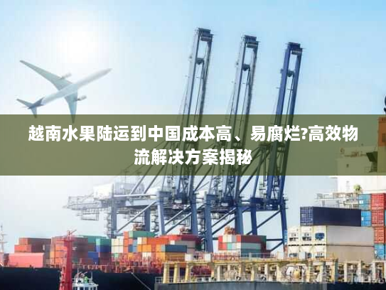 越南水果陆运到中国成本高、易腐烂?高效物流解决方案揭秘