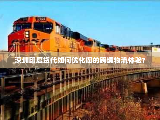 深圳印度货代如何优化您的跨境物流体验?