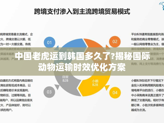 中国老虎运到韩国多久了?揭秘国际动物运输时效优化方案