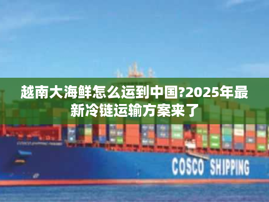 越南大海鲜怎么运到中国?2025年最新冷链运输方案来了 越南大海鲜怎么运到中国?2025年最新冷链运输方案来了