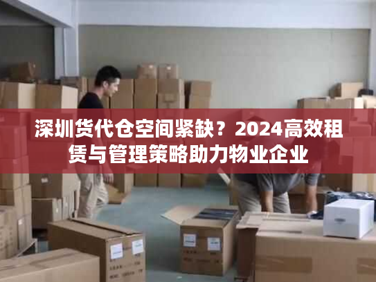 深圳货代仓空间紧缺？2024高效租赁与管理策略助力物业企业