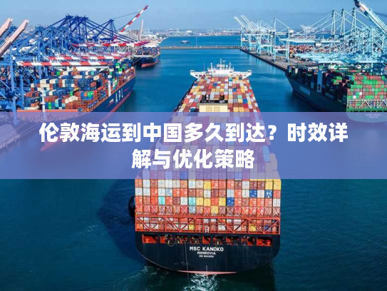 伦敦海运到中国多久到达？时效详解与优化策略