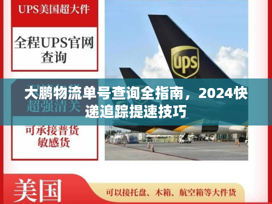 大鹏物流单号查询全指南，2024快递追踪提速技巧