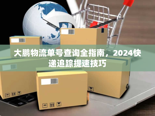 大鹏物流单号查询全指南，2024快递追踪提速技巧