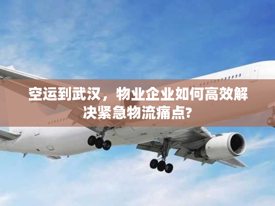 空运到武汉，物业企业如何高效解决紧急物流痛点?