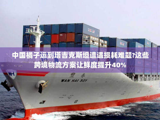 中国橘子运到塔吉克斯坦遭遇损耗难题?这些跨境物流方案让鲜度提升40%