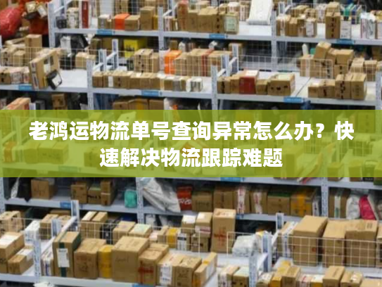 老鸿运物流单号查询异常怎么办？快速解决物流跟踪难题