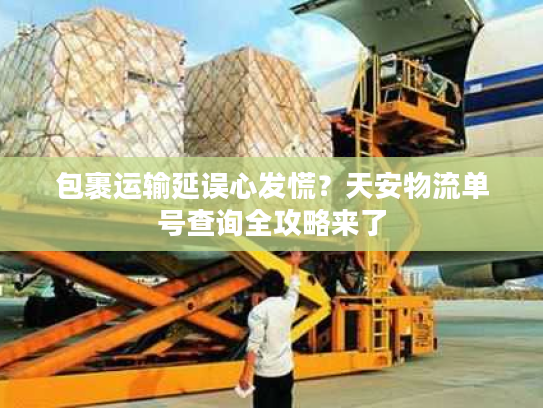 包裹运输延误心发慌？天安物流单号查询全攻略来了