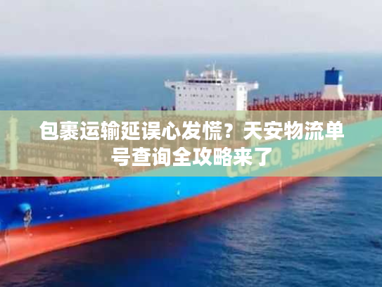 包裹运输延误心发慌？天安物流单号查询全攻略来了
