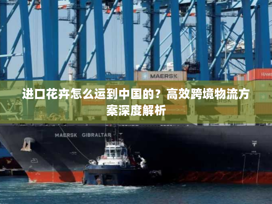 进口花卉怎么运到中国的？高效跨境物流方案深度解析