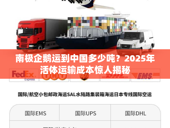 南极企鹅运到中国多少吨？2025年活体运输成本惊人揭秘