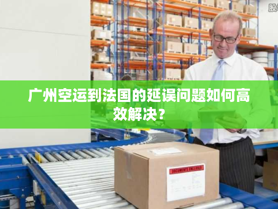 广州空运到法国的延误问题如何高效解决？