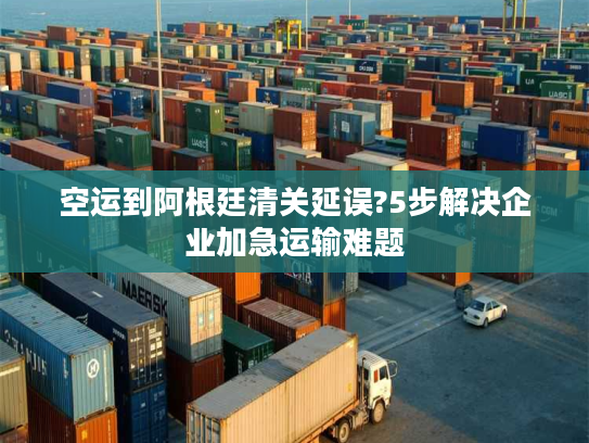 空运到阿根廷清关延误?5步解决企业加急运输难题