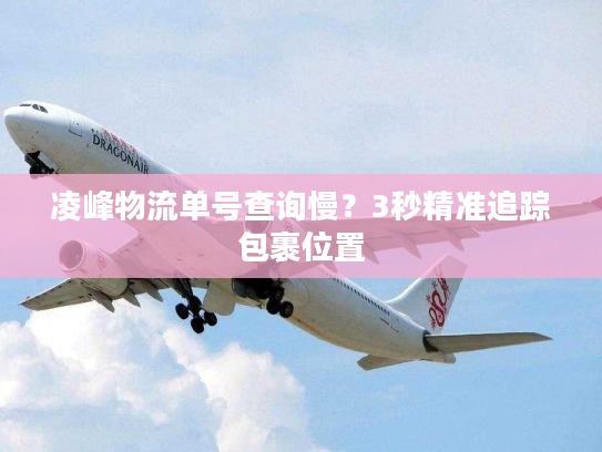 凌峰物流单号查询慢？3秒精准追踪包裹位置