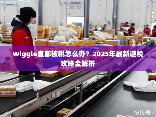 Wiggle直邮被税怎么办?2025年最新避税攻略全解析 Wiggle直邮被税怎么办?2025年最新避税攻略全解析